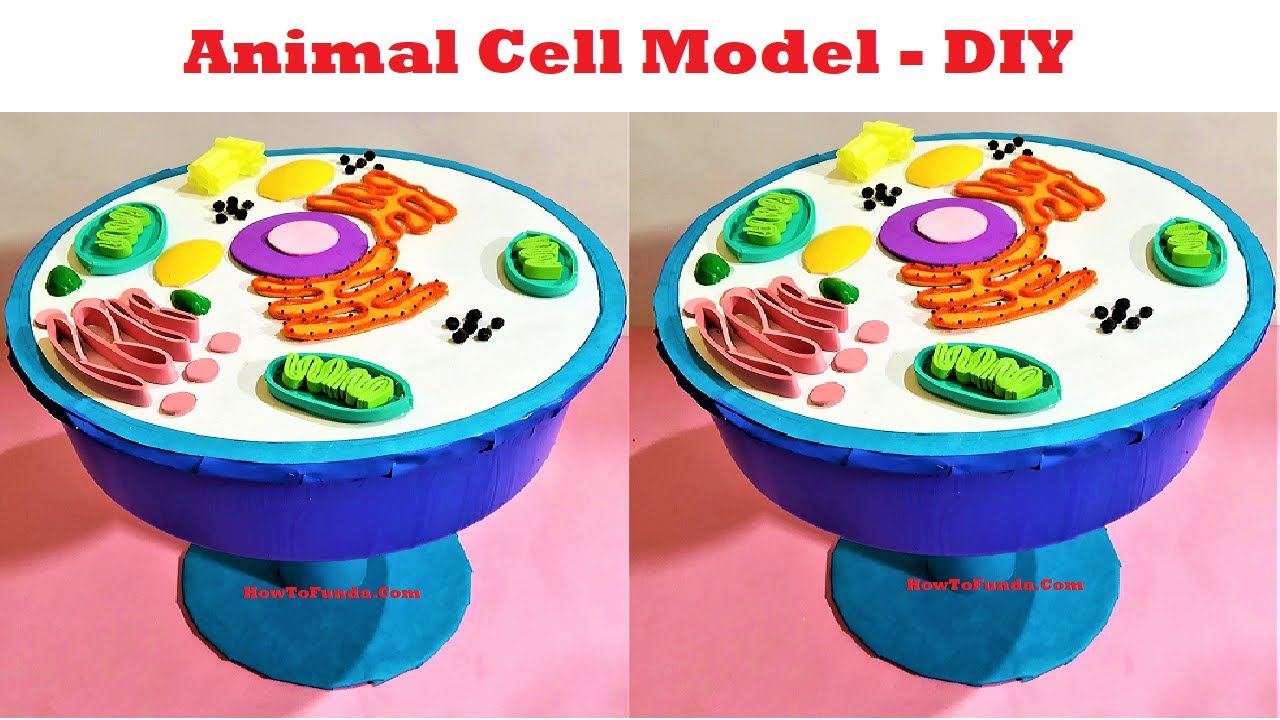 pic 3D Cell Model Animal