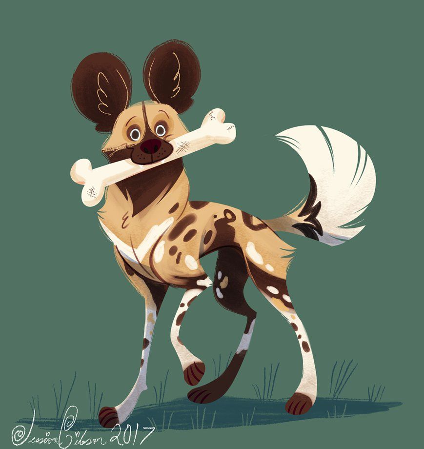 picture African Wild Dog Furry