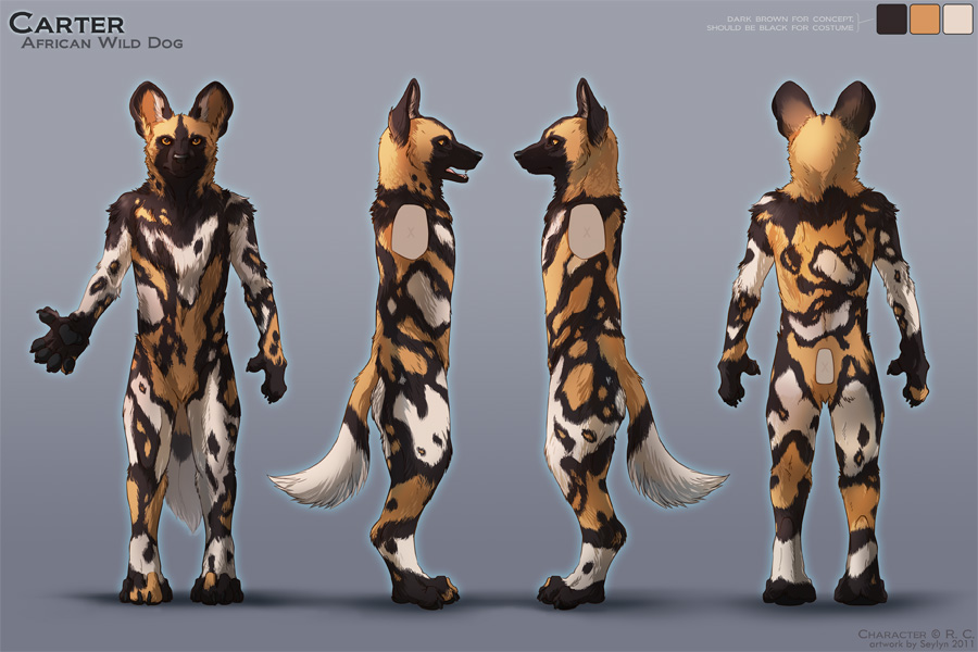 images African Wild Dog Furry