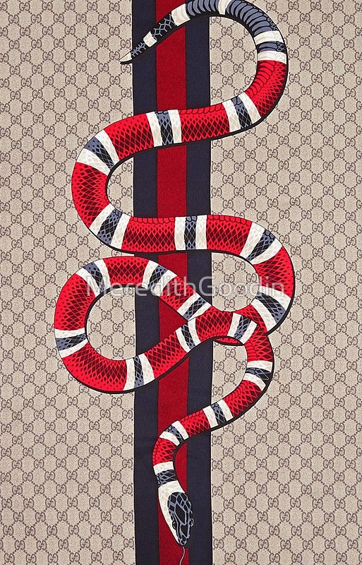 pic Background Gucci Wallpaper Snake