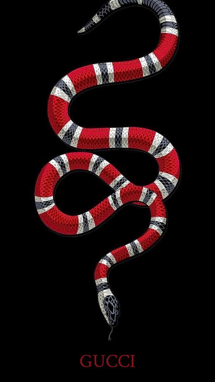 pic Background Gucci Wallpaper Snake