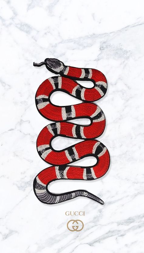 images Background Gucci Wallpaper Snake