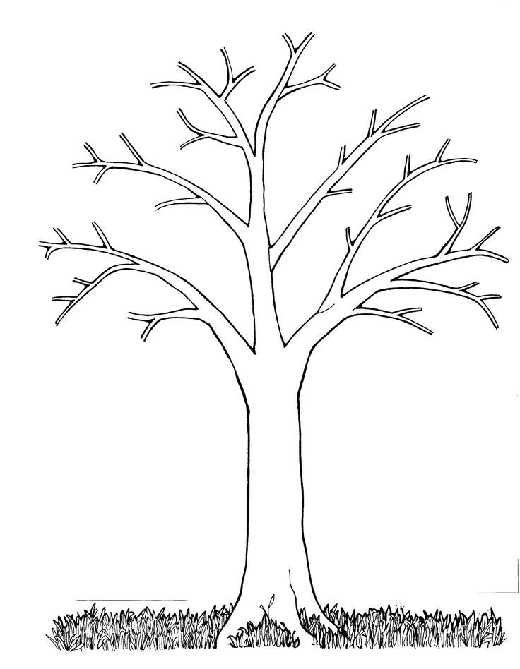 images Bare Tree Coloring Pages