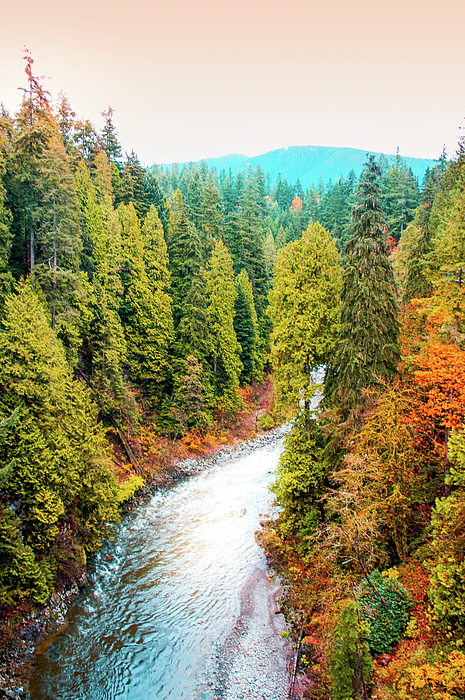 pic Capilano River Park For Sale