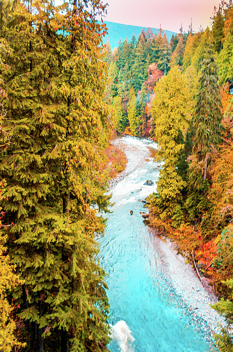 pic Capilano River Park For Sale