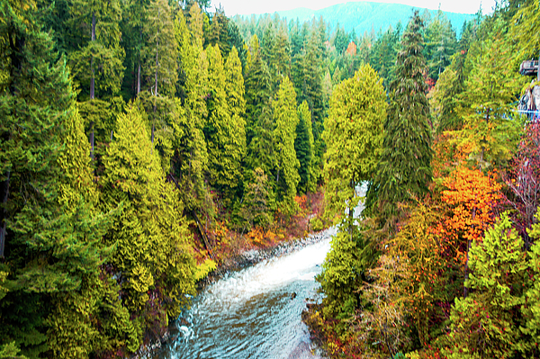 pics Capilano River Park For Sale