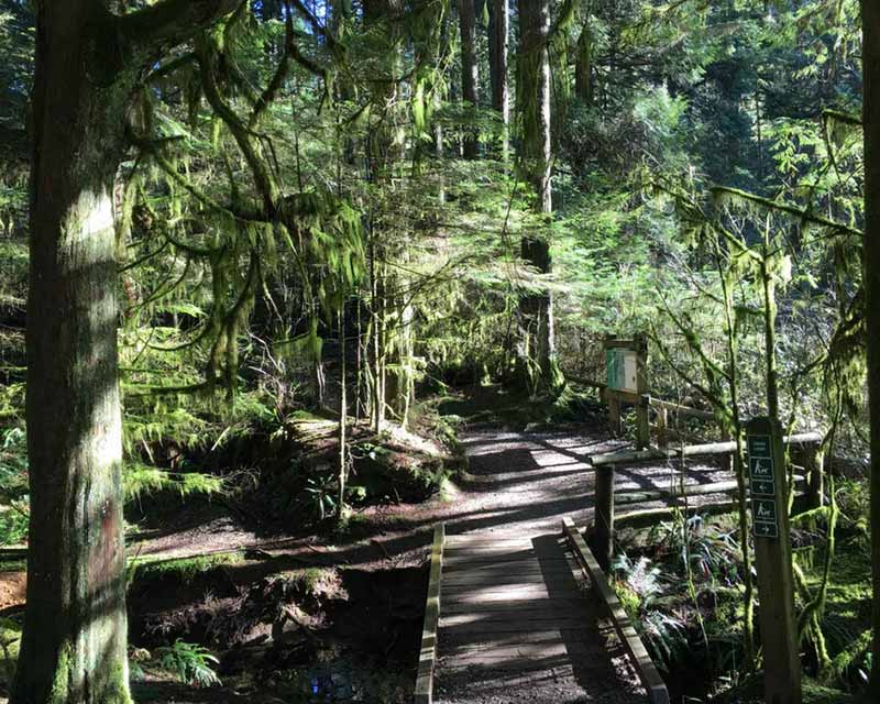 wallpapers Capilano River Park For Sale