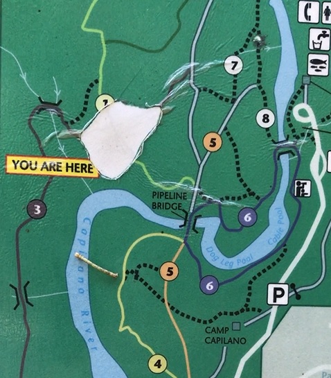 images Capilano River Park Map