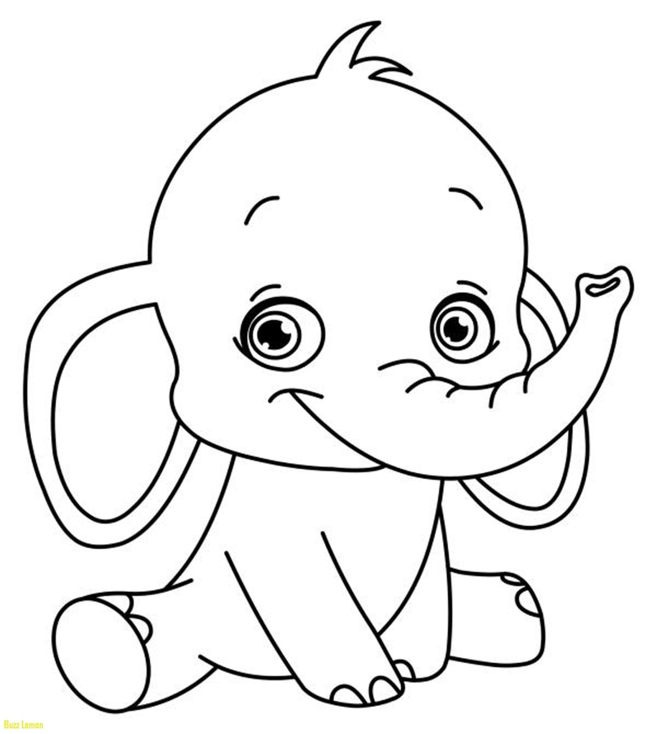 photo Coloring Books For Kids- Animals Pdf