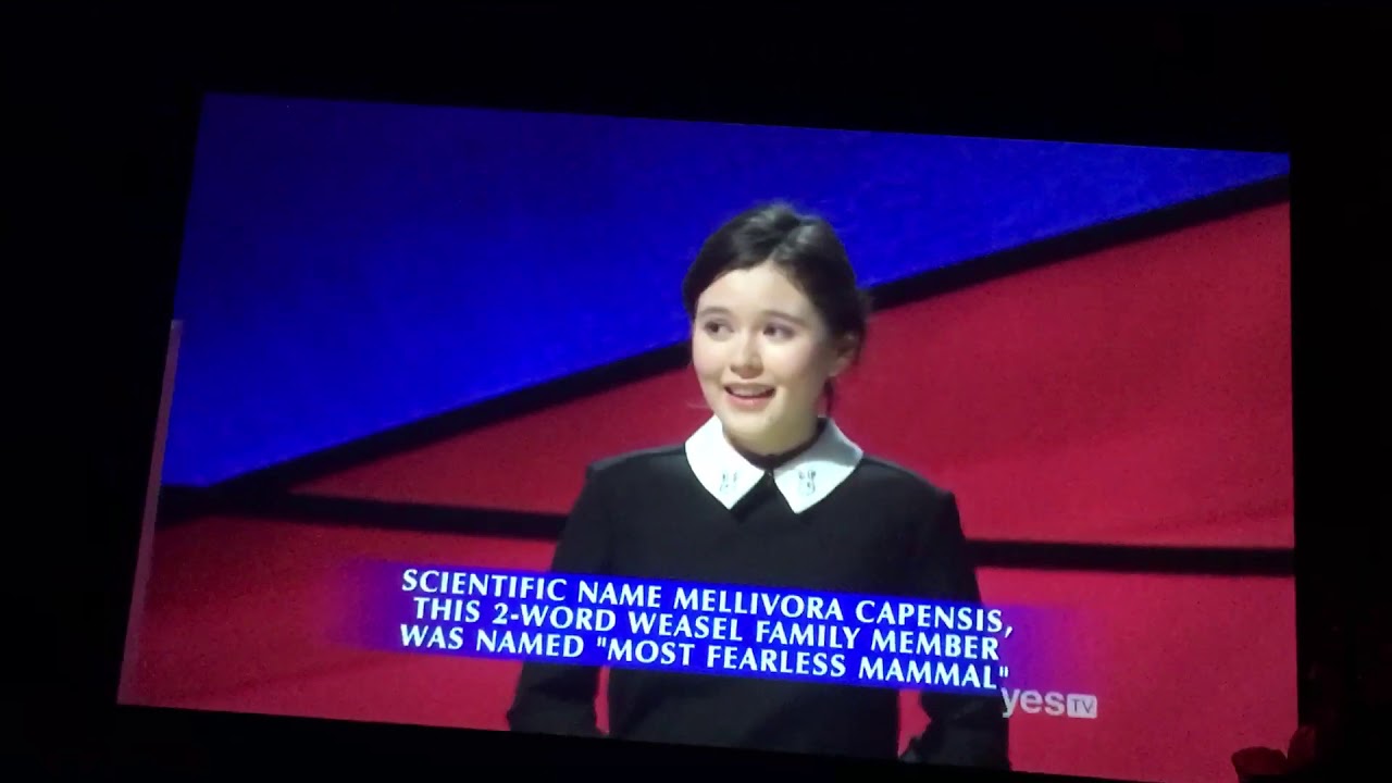 wallpapers Emma Arnold On Jeopardy