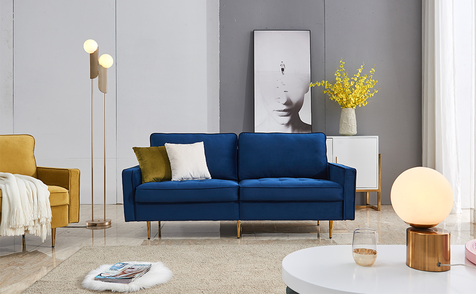 images Light Blue Velvet Sofa Living Room