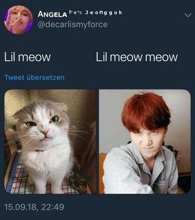 wallpapers Lil Meow Meow Vs Agust D