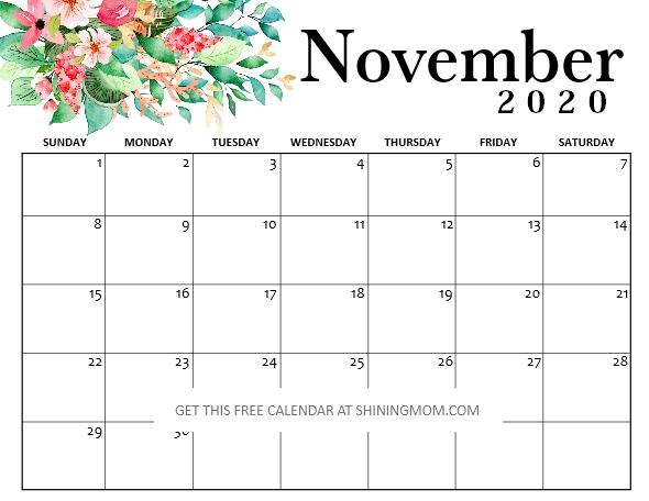 pix November 2020 Calendar Cute