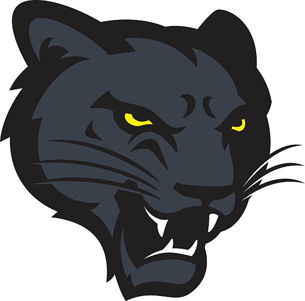 picture Panther Animal Logo