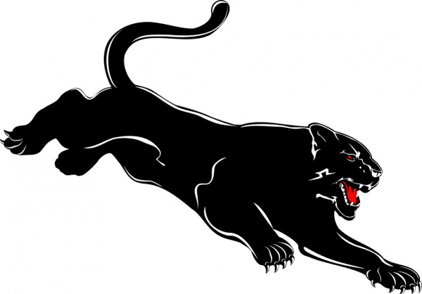 photo Panther Animal Logo