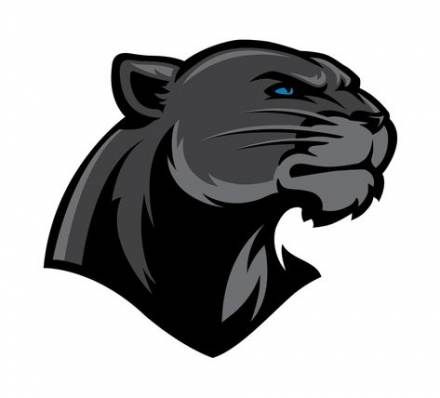 images Panther Animal Logo