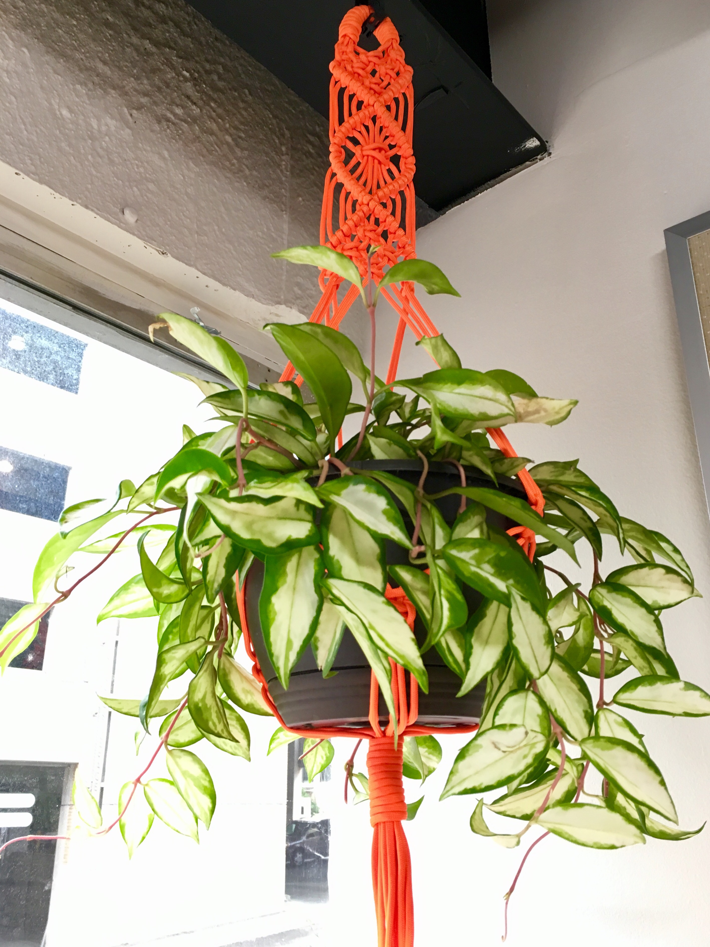 images Paracord Macrame Plant Hanger