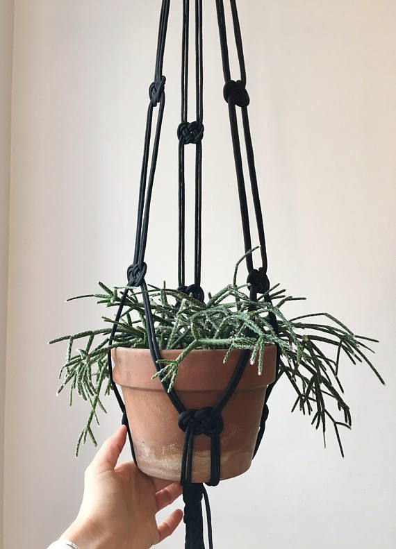 wallpapers Paracord Macrame Plant Hanger