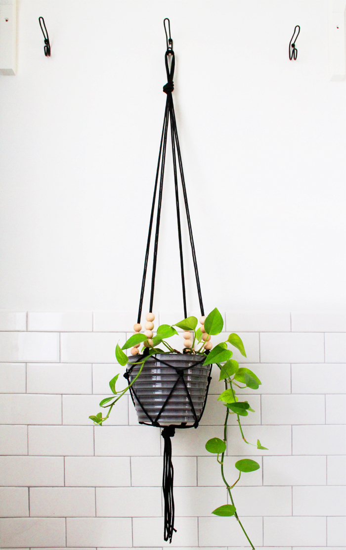 pix Paracord Macrame Plant Hanger