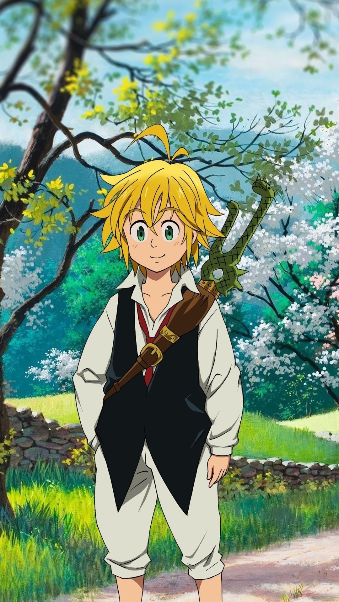 picture Photo De Meliodas