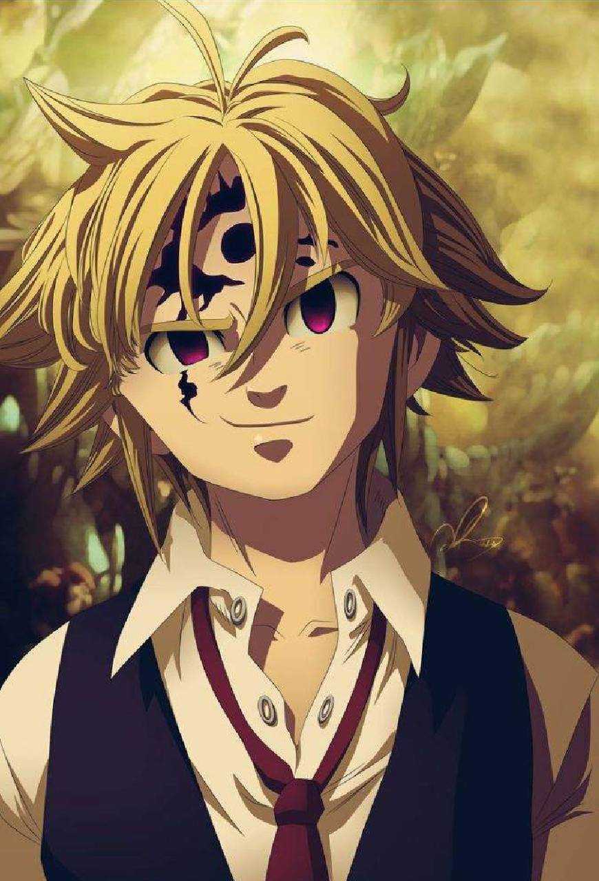 pics Photo De Meliodas