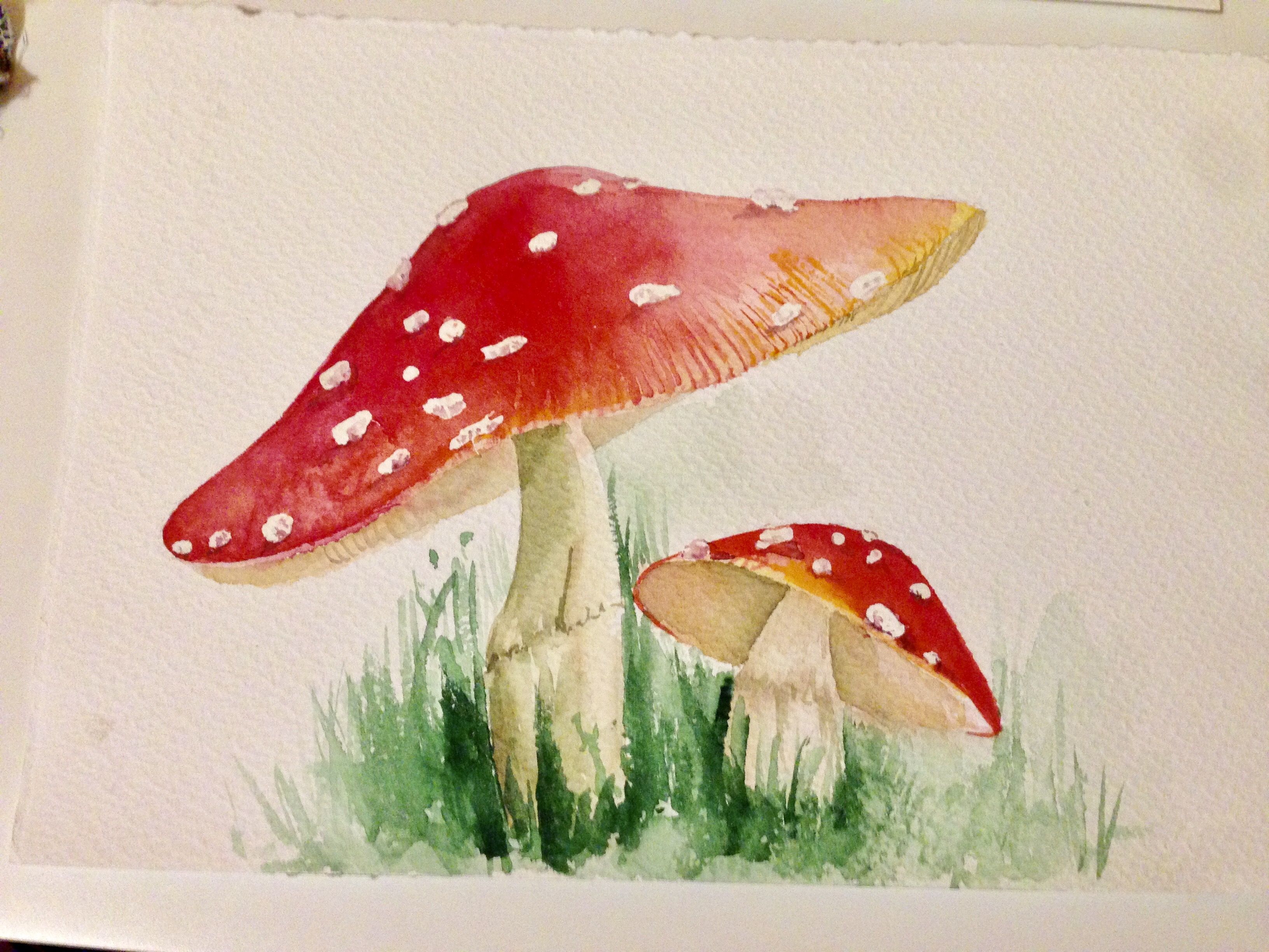 Featured image of post Red Mushroom Painting