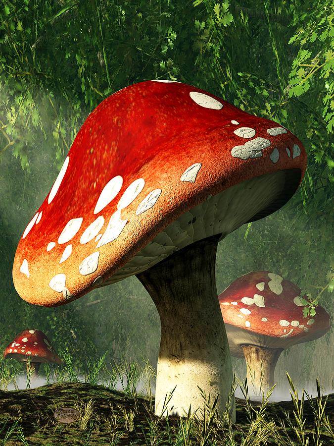 pics Red Mushroom Painting