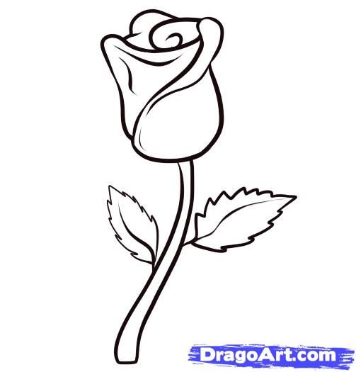 Featured image of post Roses Drawing Easy