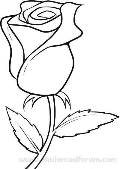 images Roses Drawing Easy