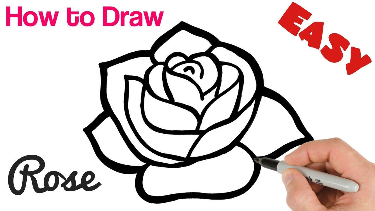 pics Roses Drawing Easy