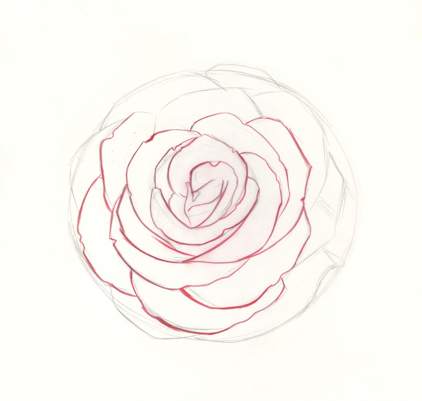 photo Roses Drawing Easy