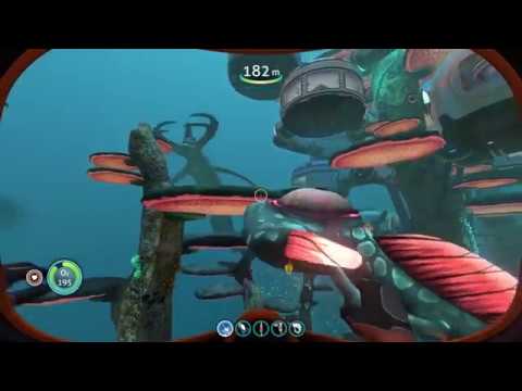 images Subnautica Mushroom Forest Base