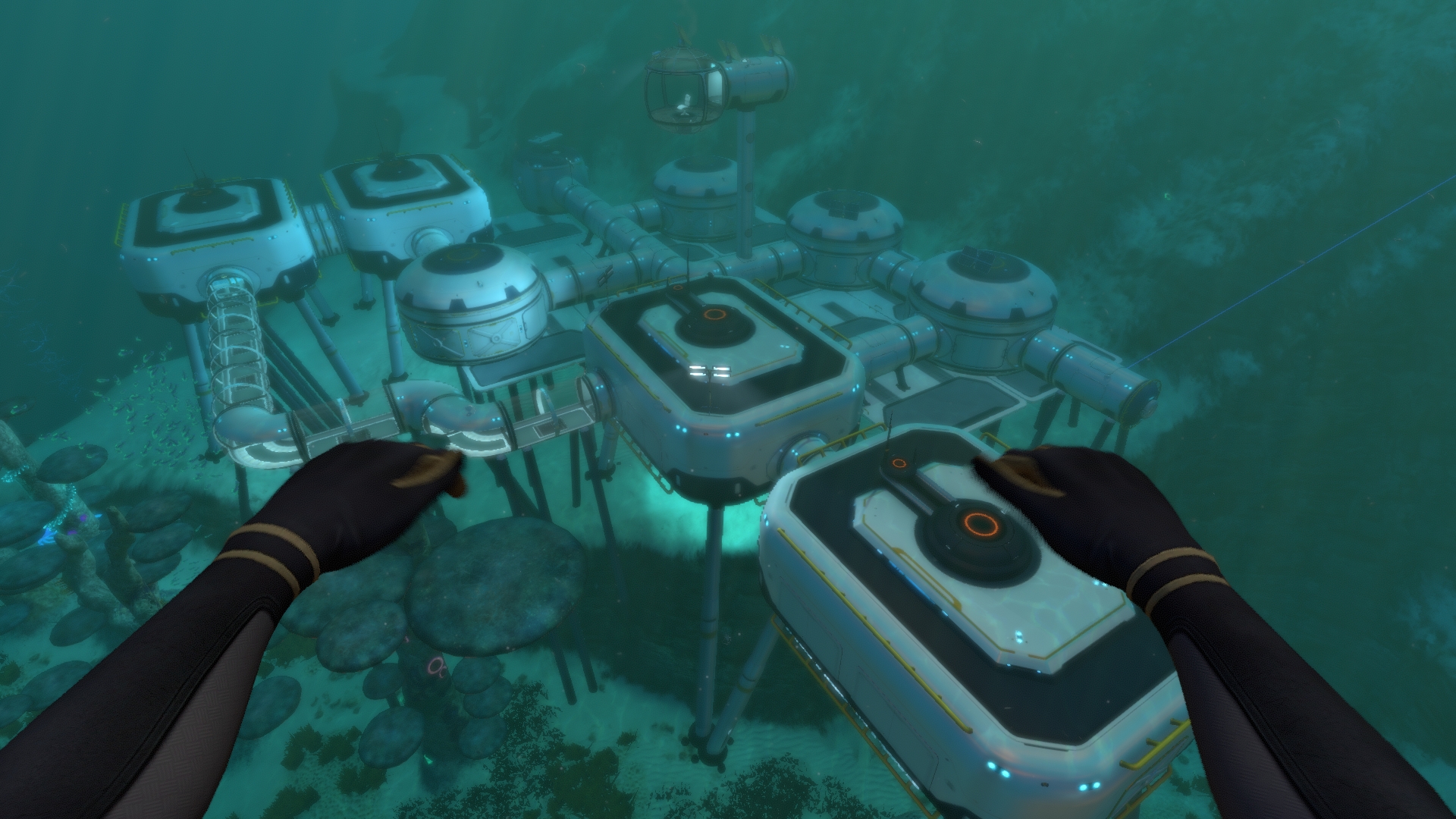 photo Subnautica Mushroom Forest Base