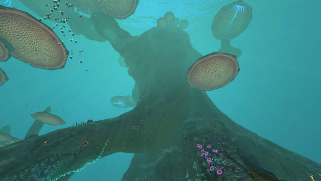 images Subnautica Mushroom Forest Big Tree