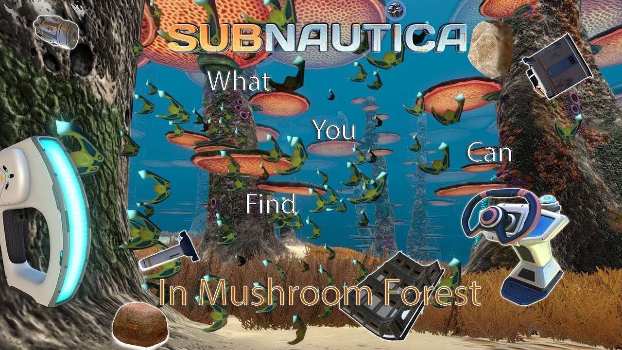 Featured image of post Subnautica Mushroom Forest Creatures