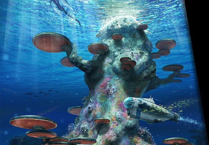 photo Subnautica Mushroom Forest Creatures