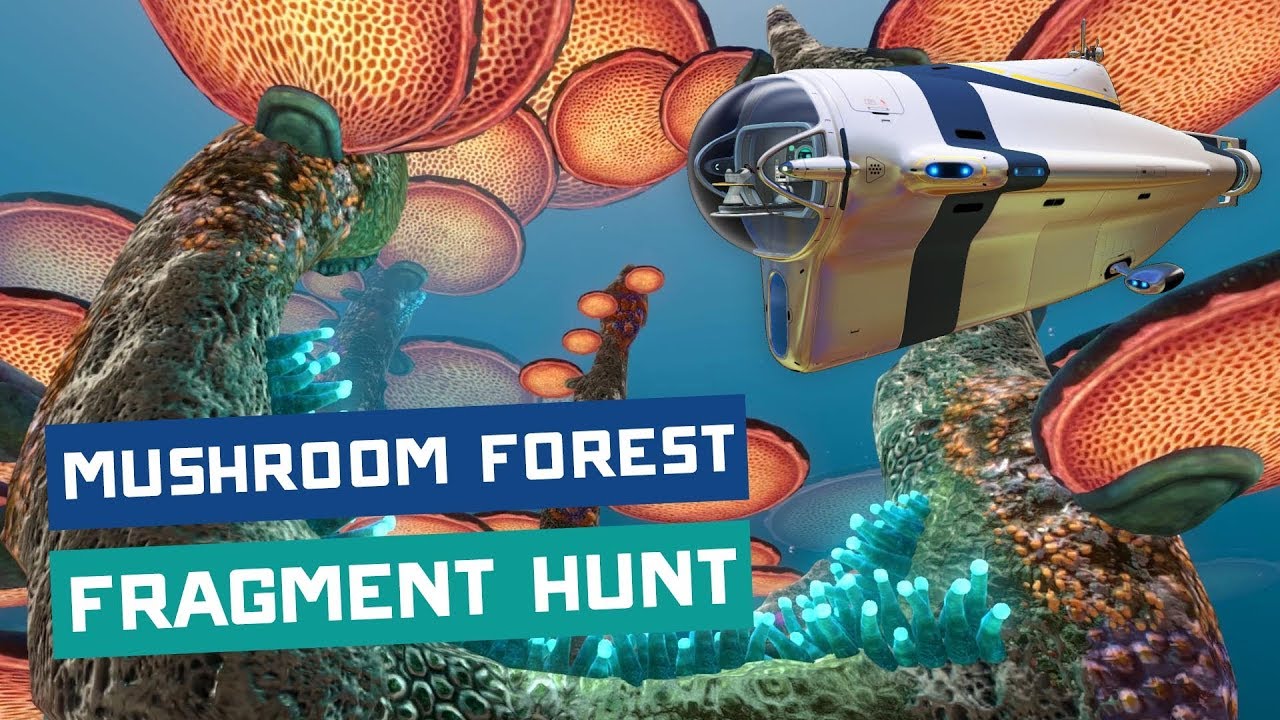 pics Subnautica Mushroom Forest Location