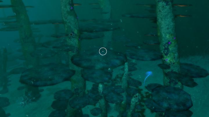 images Subnautica Mushroom Forest Location