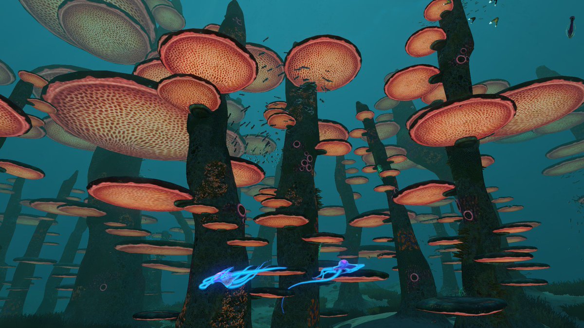 photo Subnautica Mushroom Forest