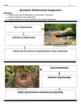 pix Symbiotic Relationship Worksheet Answer Key