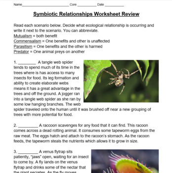 picture Symbiotic Relationship Worksheet Answer Key