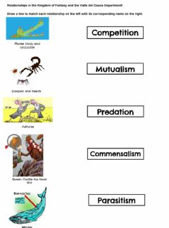 pic Symbiotic Relationship Worksheet Grade 4