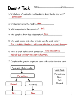 wallpapers Symbiotic Relationship Worksheet Grade 4