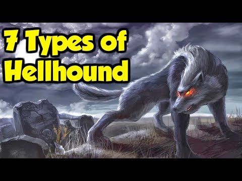 photo What Do Hellhounds Look Like