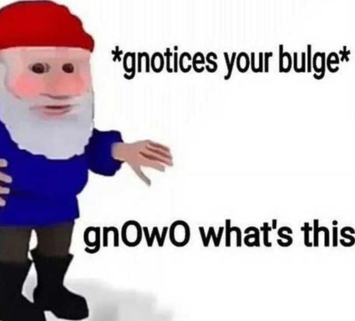 pix You've Just Been Gnomed